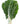 Bleda Ecològica