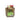 comprar Semillas de Calabaza Sol Natural, 500g online supermercado ecologico en barcelona frooty