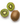 Kiwi Verd, 2uds